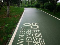 -洨河生态公园