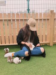 -萌宠亲子动物乐园(槐房万达店)