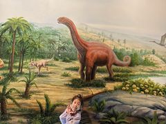 -辽宁古生物博物馆