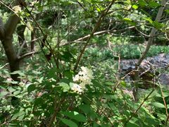 -云岫谷自然风景区