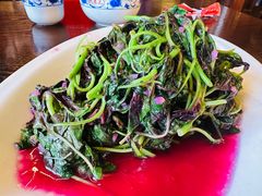 -代木儿回锅肉