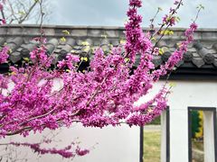 -武汉紫薇都市田园