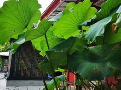 -南岳明心寺