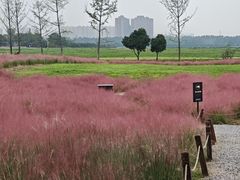 -汉长安城未央宫国家考古遗址公园