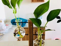 -小昆山驾校·基地自营(松江大学城实体店)