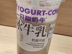 -一只酸奶牛(大融城店)