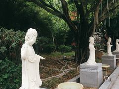 -江门古兜温泉小镇