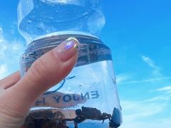 -蟹之国·精品蟹料理(极地店)