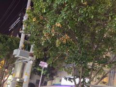 -东北熏肉大饼(后湖店)