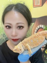 -神奇动物撸宠馆·羊驼·小浣熊·异宠(豫园店)