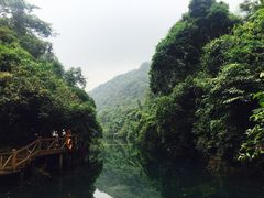 -鼎湖山风景区
