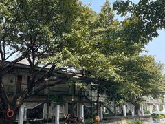 -喜洲吧·江畔老船厂·庭院餐厅(喜临院店)