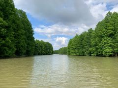 -上海海湾国家森林公园