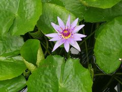 -北京植物园-展览温室