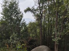 -火炉山森林公园