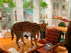 -猫小院猫主题餐厅(三里屯店)