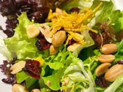 -Cactus墨西哥仙人掌餐厅