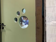 -半岛宠物医院24小时(科华中路店)