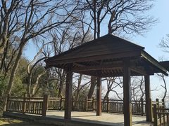 -紫金山山顶公园