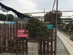 -龙大花卉苗木市场