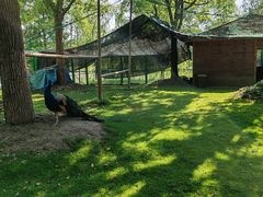 -华东政法大学(松江校区)