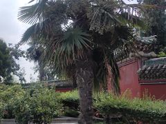 -开封包公祠