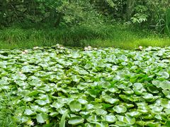 -姚家山旅游风景区