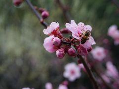 -静安雕塑公园