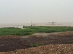 -南汇嘴观海公园