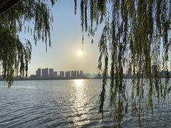 -艾溪湖湿地公园