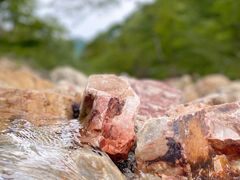 -大连天门山国家森林公园