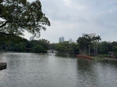 -荔湾湖公园