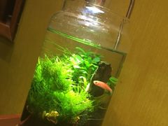 -伊藤ITO(侨福芳草地购物中心店)