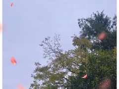 -都江堰普照寺