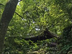 -天一阁博物院
