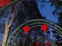 -黄村公园