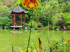 -云溪植物园