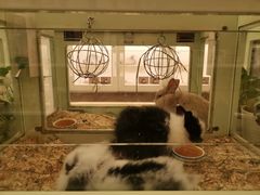 -龙猫仔乐园(惠福东路店)