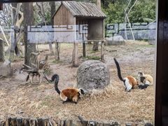 -上海野生动物园