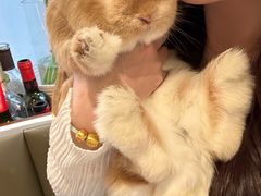 -Sheee Cafe restaurant(青林湾店)