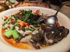 -顺德佬华侨城店·商务宴请·团建