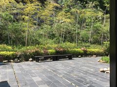 -洈水景区
