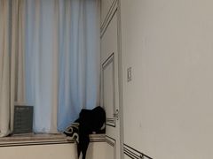 -剧狐剧本杀·月球探案馆(人民广场1号店)