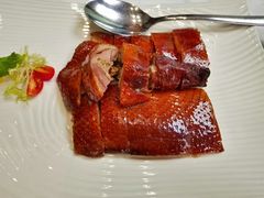 -唐阁海景中餐厅·早茶·粤菜•生日聚餐(海口朗廷酒店)