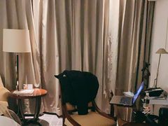 -上海波特曼丽思卡尔顿酒店