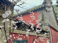 -潭柘寺景区