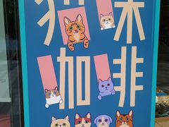 -飞行喵MR PILOT|猫舍·猫咖(静安大融城店)