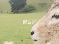 -霍比特人村