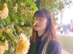 -都江堰玫瑰花溪谷