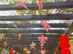 -白马涧龙池景区